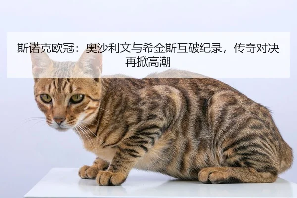 斯诺克欧冠：奥沙利文与希金斯互破纪录，传奇对决再掀高潮