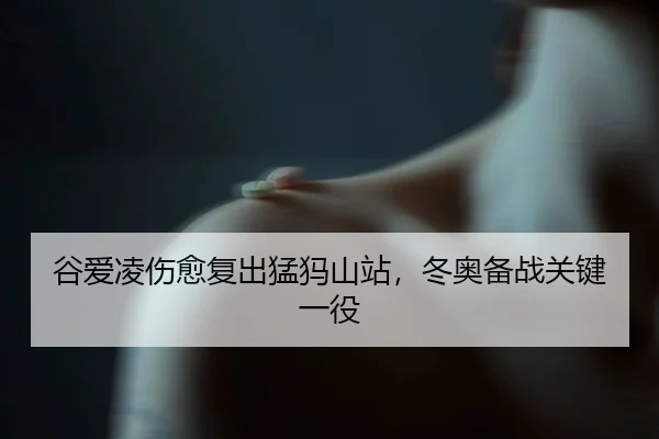 gu-ai-ling-shang-yu-fu-chu-meng-ma-shan-zhan-dong-ao-bei-zhan-guan-jian-yi-yi-3-622.jpg